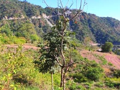 Mountains in the Clouds